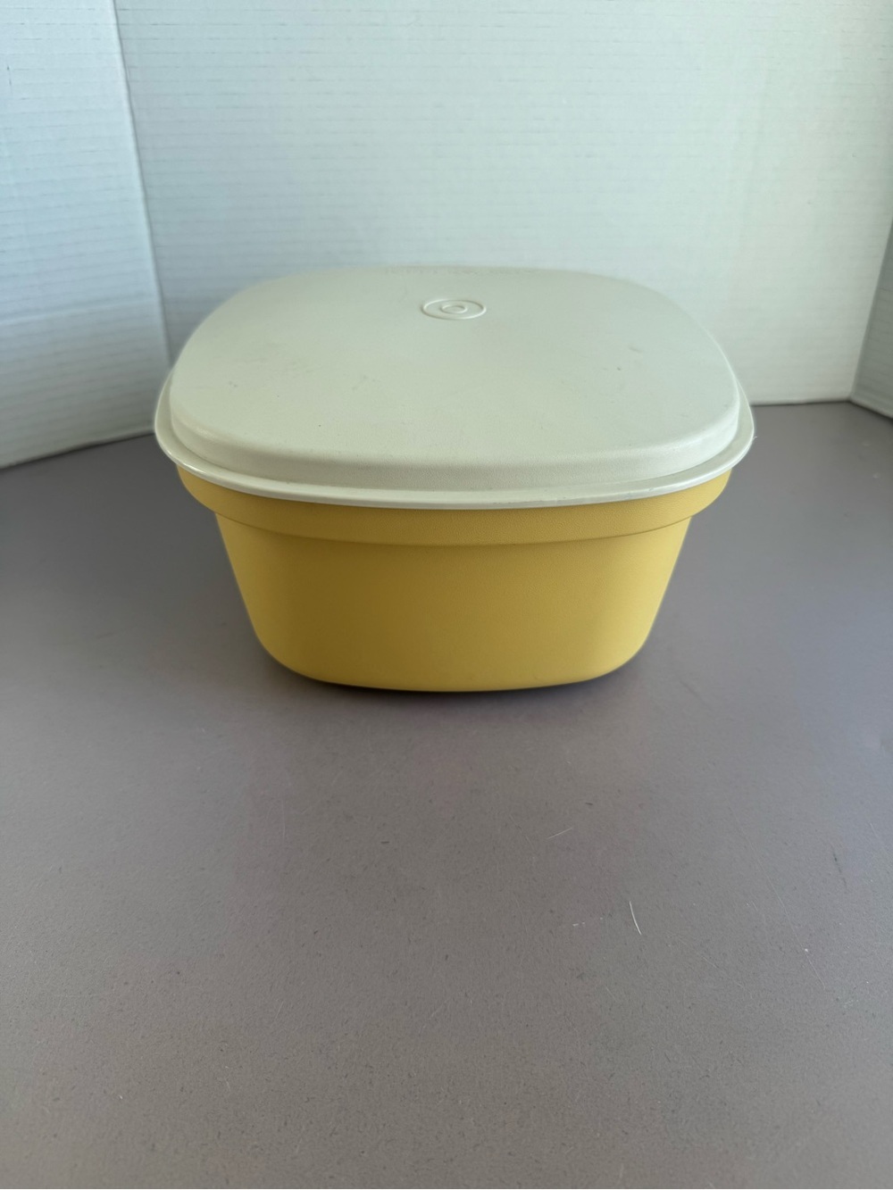 Vintage Tupperware Steam and Store Container